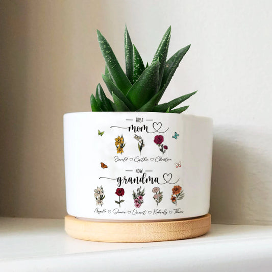 Round Succulent Pot